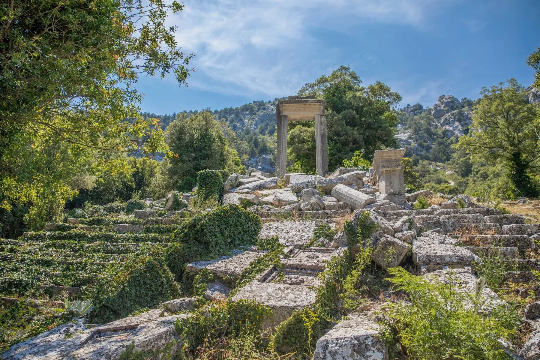 Termessos 5