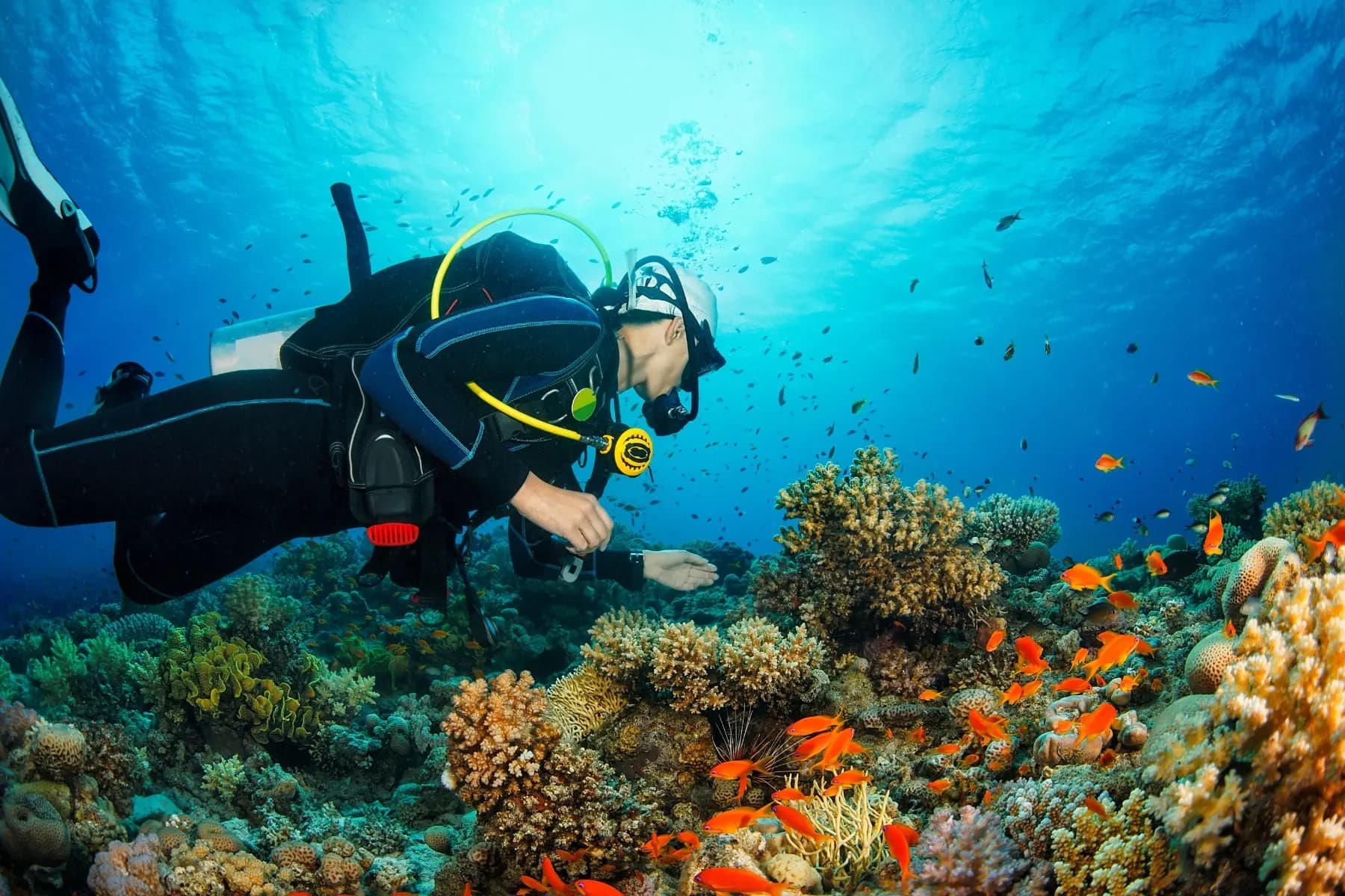 Kemer Scuba Diving Experience