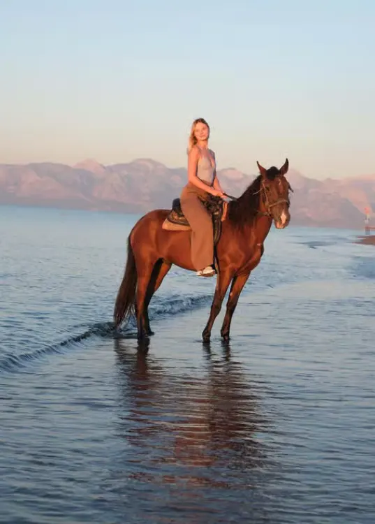Taurus Mountains Horse Riding