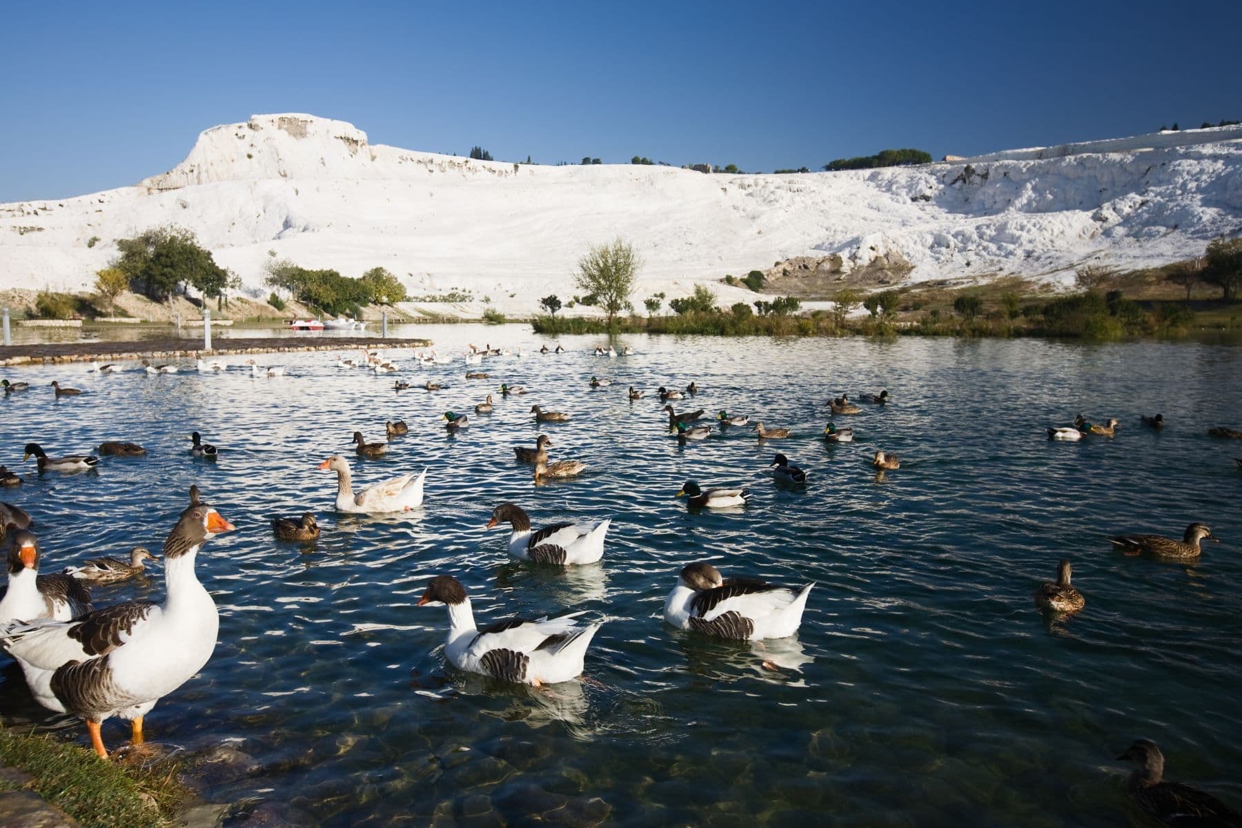 Pamukkale and Hierapolis Daily Tour